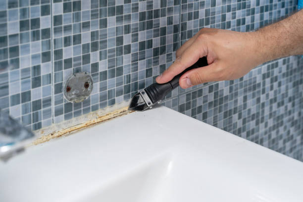 Best Residential Mold Remediation in Massapequa Park, NY