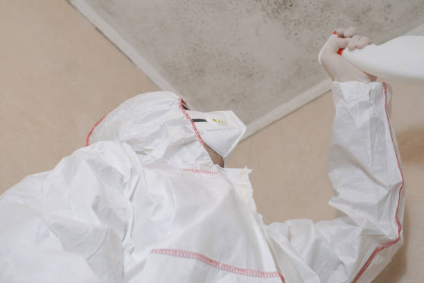 Mold Remediation for Historic Buildings